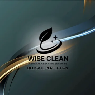 Wise Clean CY logo