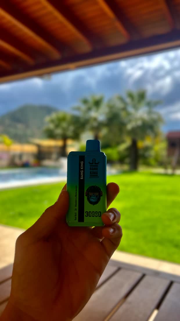 A device held against palm trees and a pool